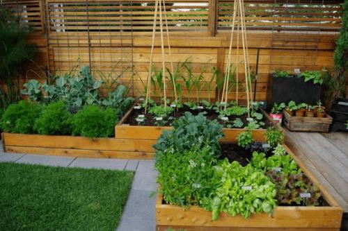 Alapvető kerti szerszámok, amelyekre szükséged van